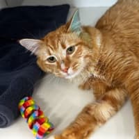 Photo of Barry
