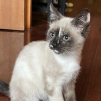 Photo of Riff