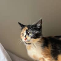 Photo of Miss Maples