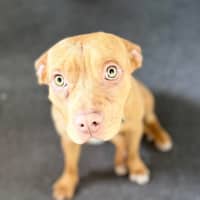 Photo of Kit Kat