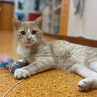 Photo of Leo