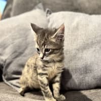 Photo of Freaking Freddie