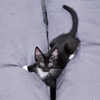 Photo of Stormie