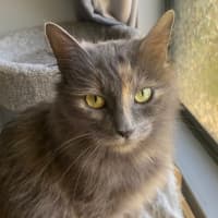 Photo of Purrdee