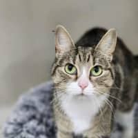 Photo of 🎭 Mischief 6423 🎭