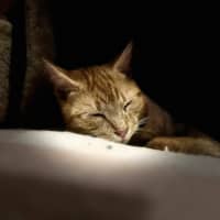 Photo of Gigi   Located In Frankston