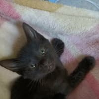 Photo of Jun
