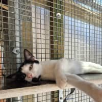 Photo of Cowgirl! 🤠