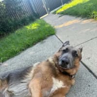 Photo of Blue