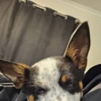 Photo of Brian