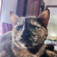 Photo of Marceline
