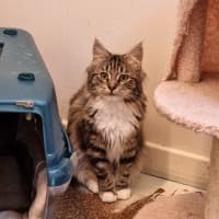 Photo of Sandy