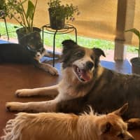 Photo of Roxy