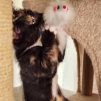 Photo of Little Miss