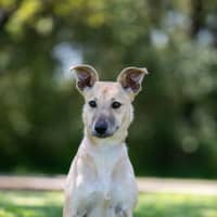 Photo of Winnie
