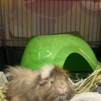 Photo of Eddy
