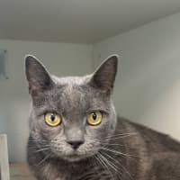 Photo of Misty