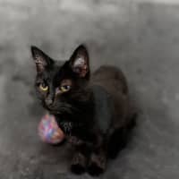 Photo of Maisey Now Macey