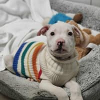 Photo of 🍦 Froyo 6378 🍦 