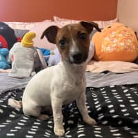 Photo of Molly Mae