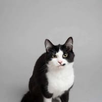 Photo of Bonnie
