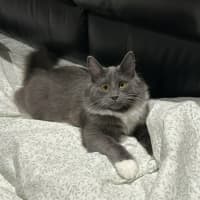 Photo of Leroy
