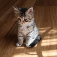 Photo of Katie