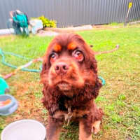 Photo of Remi