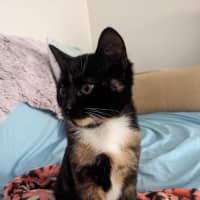 Photo of Miss Marple