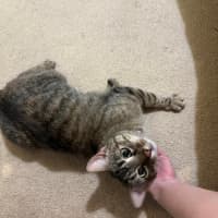 Photo of Aster Uffelman