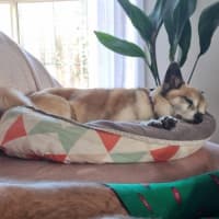 Photo of Leo O’cleary