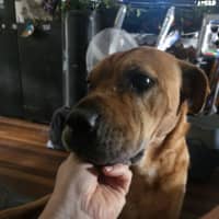 Photo of Sandy