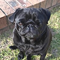 Photo of Conrad