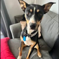 Photo of Zoe