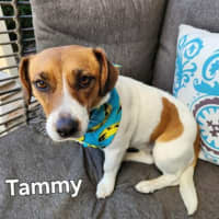 Photo of Tammy