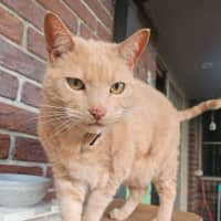 Photo of Hugo