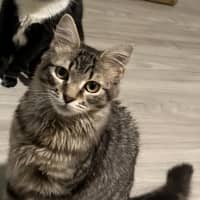 Photo of Henry