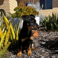 Photo of Axle