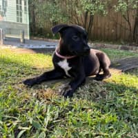 Photo of Mable