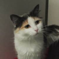 Photo of Leela