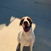 Photo of Bella