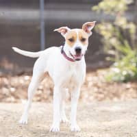 Photo of Marnie
