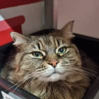 Photo of Mystie
