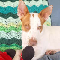 Photo of Adeline