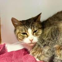 Photo of Winnie