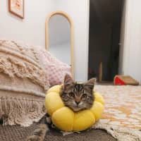 Photo of Luna Was Frankie