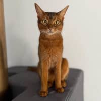 Photo of 13142   Effie 