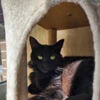 Photo of 🍓 Miriam 5923 🍓