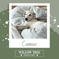 Photo of Carmen