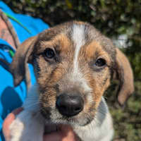 Photo of Orla